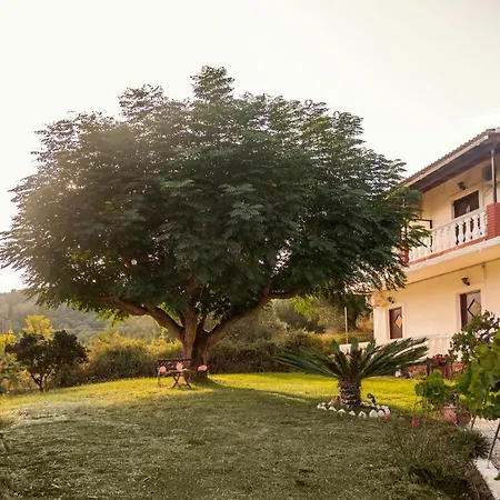 Corfu Vitaládes